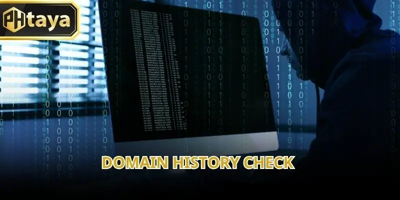 Scam websites often use newly registered domains to avoid detection